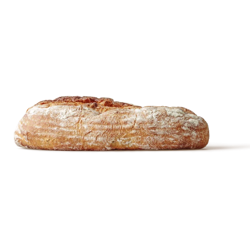 Italian Ciabatta