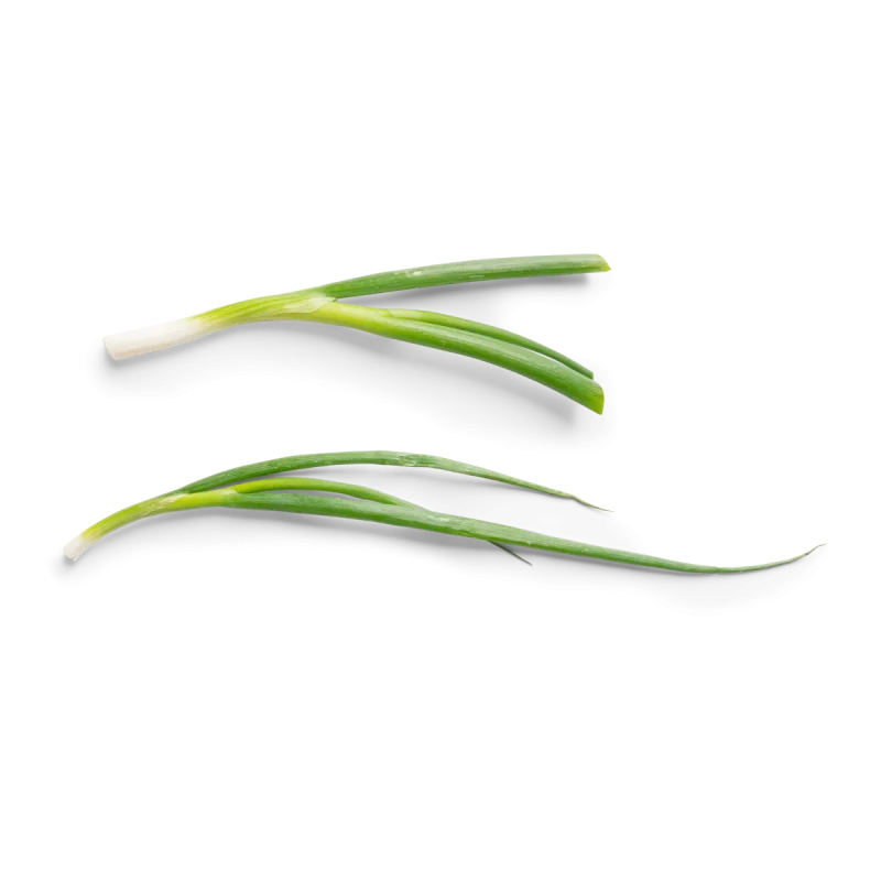 Bio Leek