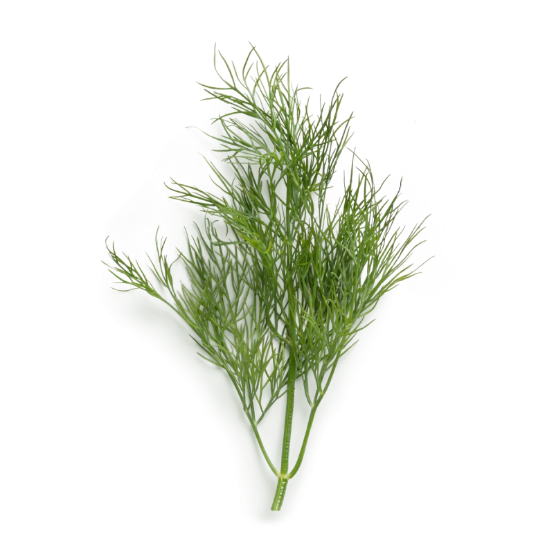 Bio dill